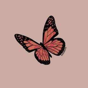 Meet your Posher, Noelle